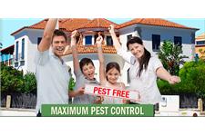 Maximum Pest Control Services. image 3