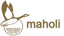 Maholi Inc. image 1