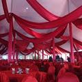 Absolute Tent and Event Services image 2