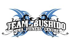 Team Bushido MMA Fitness Center image 1