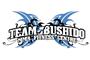 Team Bushido MMA Fitness Center logo