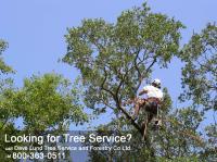 Dave Lund Tree Service and Forestry Co Ltd. image 8