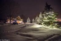 True North Christmas Lights image 3