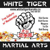 White Tiger Martial Arts image 5