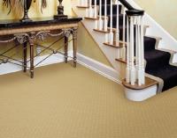 Carpet Cleaning Oakville image 23
