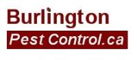 Burlington Pest Control image 1