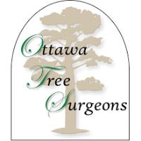Ottawa Tree Surgeons & Consultants Inc. image 1