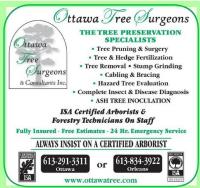 Ottawa Tree Surgeons & Consultants Inc. image 4