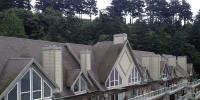 West Coast Roof Cleaning image 7