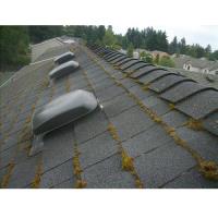 West Coast Roof Cleaning image 10