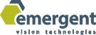 Emergent Vision Technologies image 1