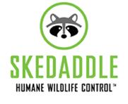 Skedaddle Humane Wildlife Control image 1