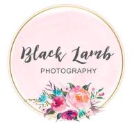 Black Lamb Photography image 10