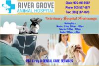 River Grove Animal Hospital image 6