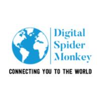 Digital Spider Monkey image 4