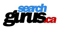 Search Gurus Inc image 3