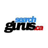 Search Gurus Inc image 8