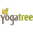 Yoga Tree logo