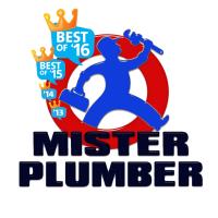 Mister Plumber image 1