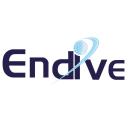 Endive Software logo
