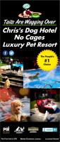 Chris's Dog Hotel No Cages Luxury Pet Resort image 12