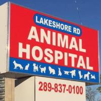 Lakeshore Road Animal Hospital image 3