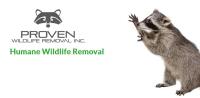 Proven Wildlife Removal Inc. image 2