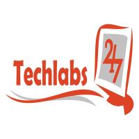 Techlabs24x7 image 1