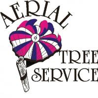 Aerial Tree Service image 1