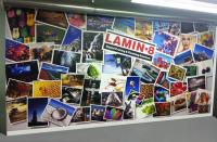 Lamin 8 Services Inc. image 3