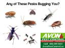 Avon Pest Control Surrey logo