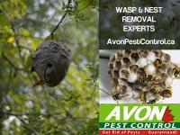 Avon Pest Control Surrey image 7
