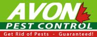 Avon Pest Control Surrey image 3