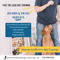 Take the Lead Dog Training image 3