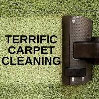 Terrific Carpet Cleaning image 1