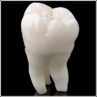 Franklin Dental Clinic image 5