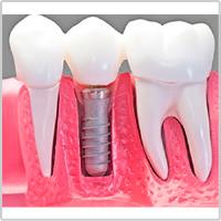 Franklin Dental Clinic image 2