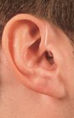Ucluelet Hearing image 5