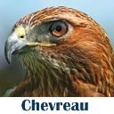 Chevreau Consulting Ltd logo