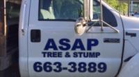 ASAP Tree & Stump LTD image 1
