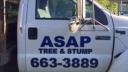 ASAP Tree & Stump LTD logo