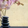 Li's Chinese Therapeutic Massage Inc image 2