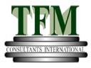 TFM Consultants International Ltd logo