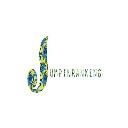 Jumpin Ranking logo