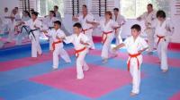 Montreal Kanreikai Karate Inc. image 1