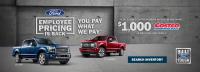 MSA Ford Sales image 2