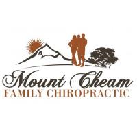 Mount Cheam Family Chiropractic image 1