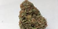 Canada Weed Dispensary image 2
