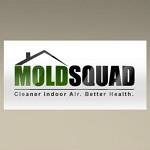Mold Squad - A Division of Building Works Ltd. image 1
