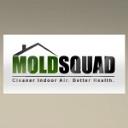 Mold Squad - A Division of Building Works Ltd. logo